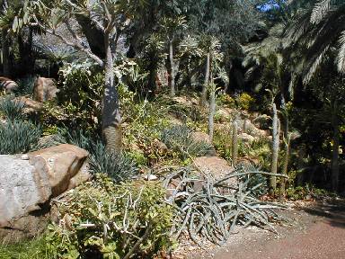 Ein Gedi waterfall