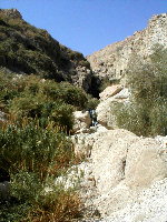 Desert waterfall at Ein Gedi