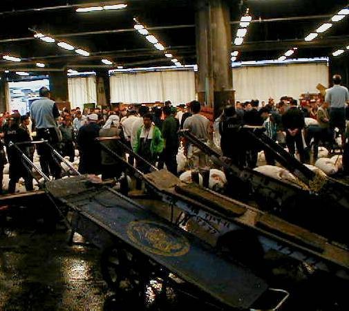 tsukiji fish market auction