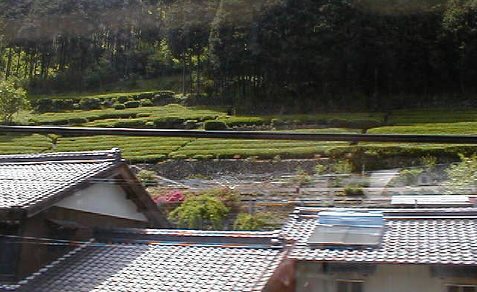 View from the bullet train of the countryside.