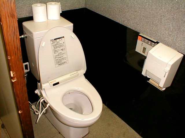 The Japanese high-tech toilet.